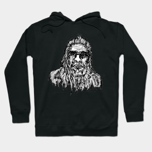 It's Bigfoot! Hoodie